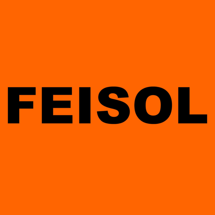 www.feisol.eu